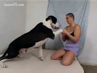 Shaved fur pie for my loyal dog